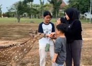 Bupati Banyuasin Terkesan Sedih 8 Ekor Rusa Ekowisata Hilang, Tersisa 13 Rusa Tak Terawat