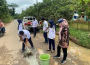Dishub PALI Tambal Jalan Berlubang di Jalur Alternatif Mudik PALI, Berikan Rasa Aman Nyaman Untuk Pemudik