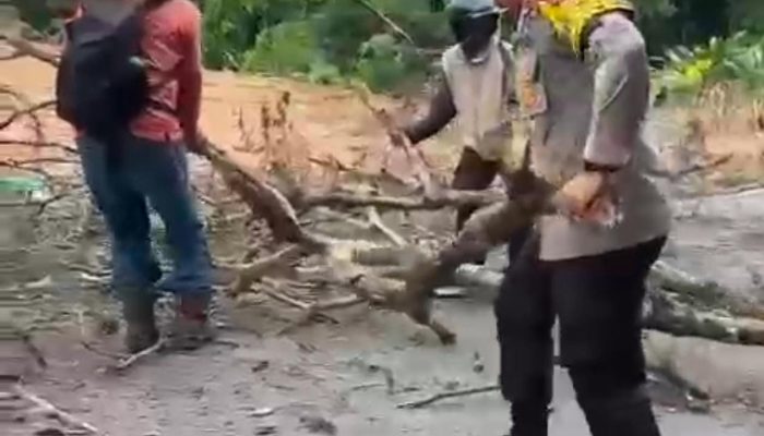 Wakapolres Prabumulih Kompol Eryadi Yuswanto Bersama Warga Bersihkan Pohon Tumbang Halangi Jalan