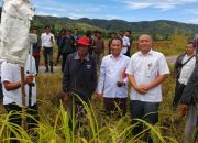 BPN Humbahas Tinjau Aset Lahan Milik Pemkab Humbahas