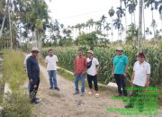 nggota DPRD Khairuddin Simanjuntak Bangun Jalan Usaha Tani, Wujudkan Swasembada Pangan
