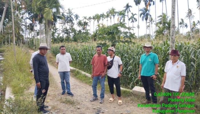 nggota DPRD Khairuddin Simanjuntak Bangun Jalan Usaha Tani, Wujudkan Swasembada Pangan