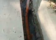 Meski Ada Klaim PLN: Kabel Tak Lagi Aktif, Warga Sukajadi Masih Waswas