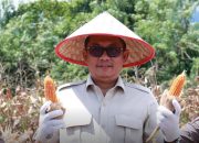 Ketua DPRD Sumbar Evi Yandri Beri Apresiasi Peran Petani: Ujung Tombak Ketahanan Pangan