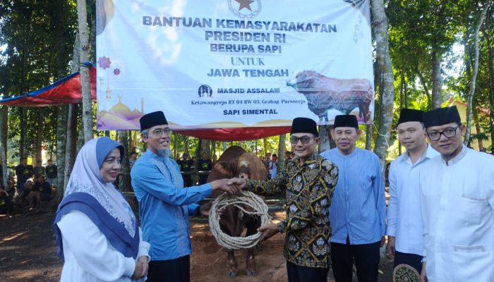 Masyarakat Desa Ketawangrejo Terima Sapi Simental Bantuan Presiden Berbobot 1,1 Ton
