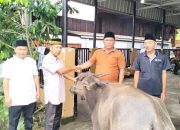 Desa Lubuk Tampui Dapat Hadiah Kerbau dari Bupati PALI
