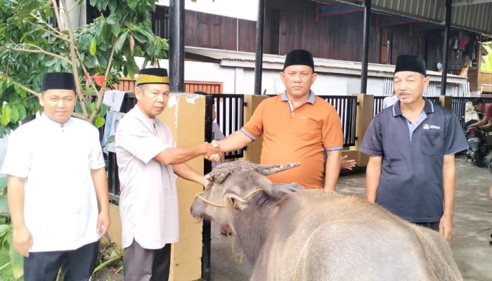 Desa Lubuk Tampui Dapat Hadiah Kerbau dari Bupati PALI