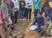 Walikota Prabumulih Saksikan Pemotongan Hewan Kurban di RSUD: Wujud Kepedulian dan Kebersamaan