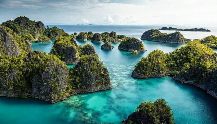 Mendorong Hilirisasi Nikel Nasional: Tantangan dan Peluang dari Pertambangan di Raja Ampat