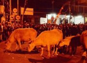 Malam Satu Suro Kian Dekat, Ini Jalan yang Akan Dilalui Kirab