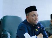 Pasca Putusan MK yang Memisah Pemilu Nasional dan Lokal, Ketua Bidang Demokrasi ADKASI Ajak Semua Pihak Dalam Perumusan Masa Transisi