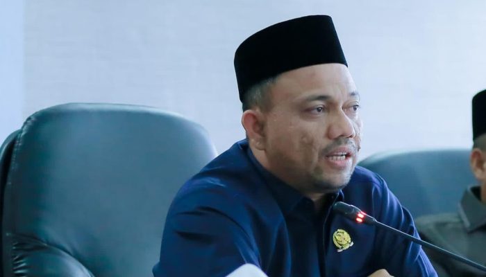 Pasca Putusan MK yang Memisah Pemilu Nasional dan Lokal, Ketua Bidang Demokrasi ADKASI Ajak Semua Pihak Dalam Perumusan Masa Transisi