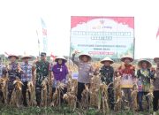Kapolres Purworejo Pimpin Panen Raya Jagung Serentak Kuartal II di Desa Wonosari Ngombol