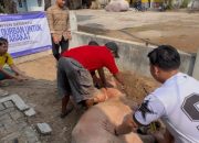 BEM Banten Bersatu Serahkan daging Hewan Qurban ke Masyarakat, Wujud Nyata Mahasiswa Dekat dengan Rakyat