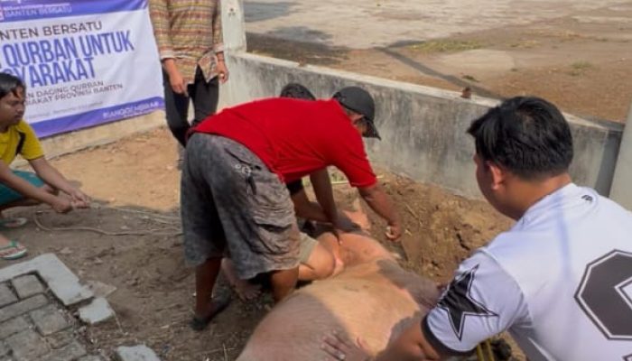 BEM Banten Bersatu Serahkan daging Hewan Qurban ke Masyarakat, Wujud Nyata Mahasiswa Dekat dengan Rakyat
