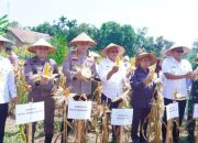Walikota Prabumulih H. Arlan Hadiri Panen Raya Jagung Serentak Kuartal II di Kelurahan Tanjung Raman