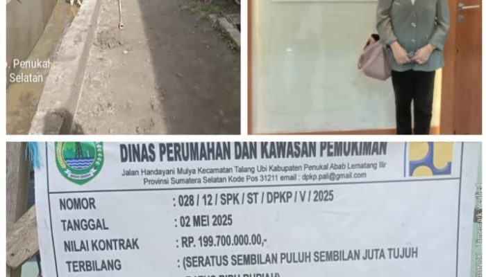 Pekerja Tidak Gunakan APD saat Kerjakan Drainase, Praktisi hukum Adv.Ira Handayani Harahap SH.MH Angkat Bicara