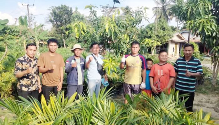Petani Sawit Desa Kemang Tanduk Terima 4.581 Bibit Kelapa Sawit Dari Walikota Prabumulih