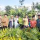 Petani Sawit Desa Kemang Tanduk Terima 4.581 Bibit Kelapa Sawit Dari Walikota Prabumulih