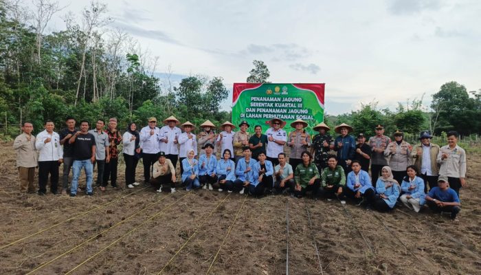 Kapolres Prabumulih Pimpin Penanaman Jagung Serentak, Dukung Asta cita 100 Hari Pertama Pemerintahan Prabowo Gibran