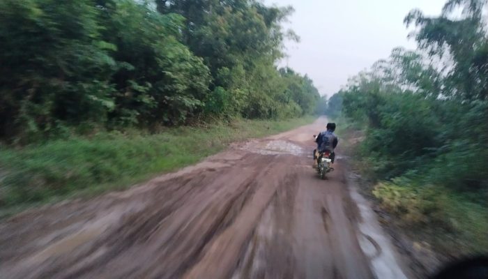 Jalan dan Jembatan Akses Utama di Pali Rusak, Warga Berharap Ada Perbaikan