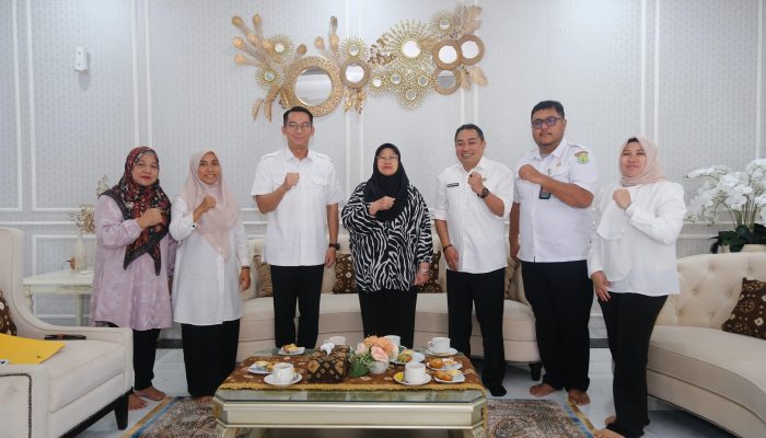 Pemkab Muba Hadirkan Sekayu Carnaval 2025 untuk Meriahkan HUT RI ke-80 Tahun