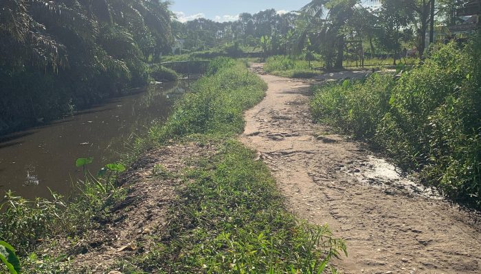 Warga RT 05 Kampung Swadya Sematang Borang Palembang Keluhkan Jalan Rusak, Berlubang Hingga Terbelah