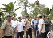 Aksi Heroik Bidan Dona Viral, Presiden Prabowo Instruksikan Pembangunan Jembatan Baru di Pasaman
