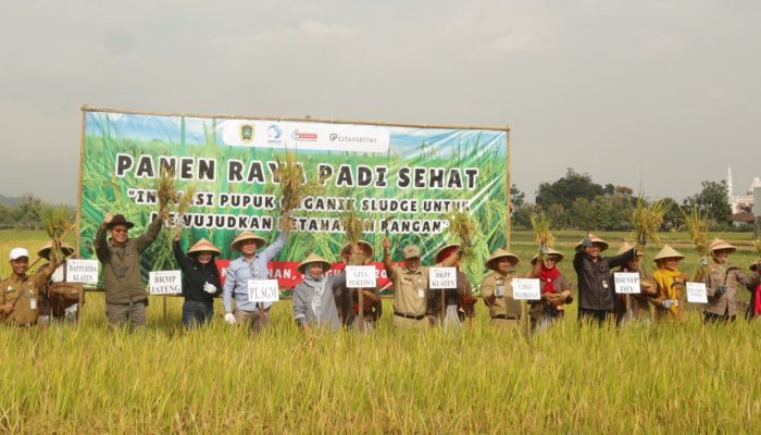 Inovasi Pupuk Organik “Sludge” Untuk Mewujudkan Ketahanan Pangan Prambanan