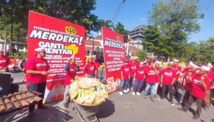 Harga Jagung Meroket, Puluhan Peternak Serukan Protes Mandi Jagung di Jalan Slamet Riyadi