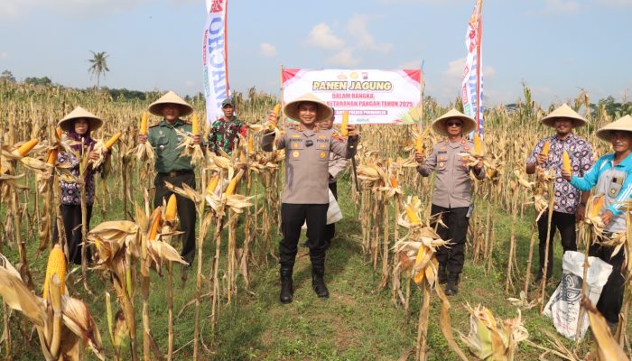 Polres Purworejo Gelar Panen Raya dan Penanaman Jagung di Desa Jrakah