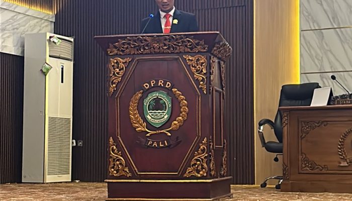Rapat Paripurna, Fraksi PDIP Pali Syarif Hidayatullah  Ingatkan Penyusunan Anggaran Tepat Sasaran Dan Pelantikan PPPK Segera