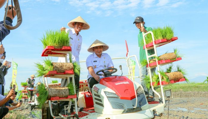 Wagub Jateng Tanam Padi di Demak, Dorong Pemulihan Lahan Pascabanjir 512 Hektare