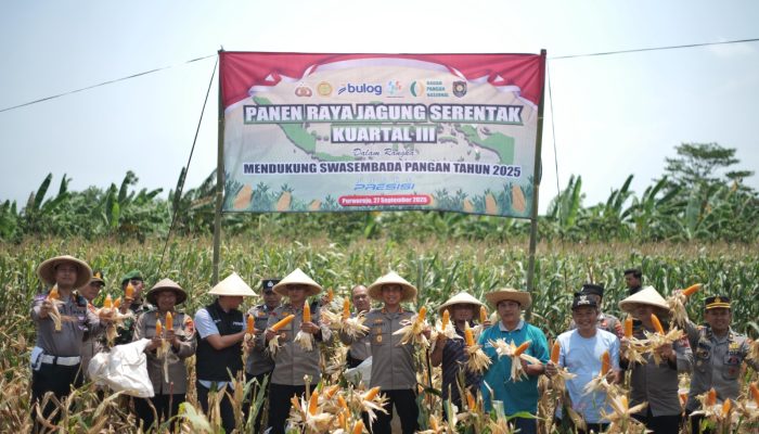 Dukung Ketahanan Pangan, Polres Purworejo Laksanakan Panen Raya Jagung Serentak Kuartal III di Desa Majir Kutoarjo