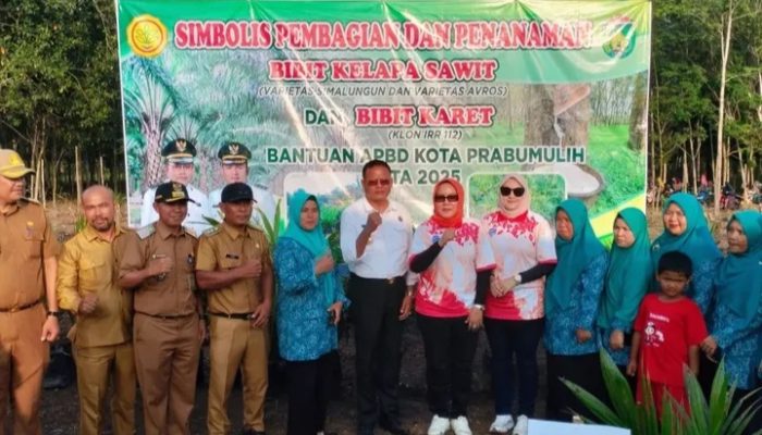 Walikota Prabumulih Salurkan Bantuan Bibit Sawit dan Karet Gratis ke Warga Desa Tanjung Telang