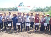 Wali Kota Prabumulih Hadiri Panen Jagung Tahap III, Dukung Swasembada Pangan Nasional