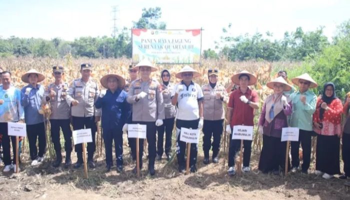 Wali Kota Prabumulih Hadiri Panen Jagung Tahap III, Dukung Swasembada Pangan Nasional