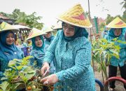TP PKK Sumsel Lakukan Verifikasi Lapangan 10 Program Pokok PKK di Muba