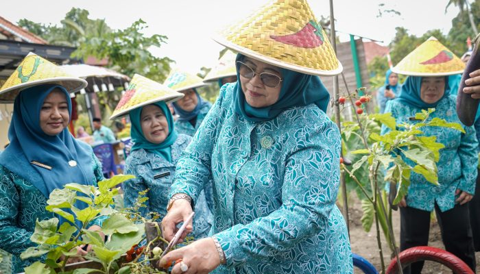 TP PKK Sumsel Lakukan Verifikasi Lapangan 10 Program Pokok PKK di Muba