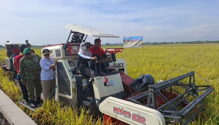 Demak Sukses Panen MT Ketiga, Bupati Eisti’anah: Ini Bukti Kita Bisa Swasembada