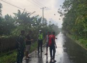 Polres Prabumuliu Olah TKP Lakalantas Kendaraan R4 vs R2 di Gunung Kemala
