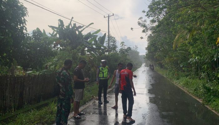 Polres Prabumuliu Olah TKP Lakalantas Kendaraan R4 vs R2 di Gunung Kemala