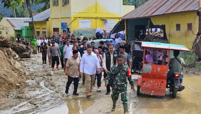 Wamen Ossy Dermawan Pastikan Proses Cepat Penggantian Sertipikat Tanah Rusak di Sumatera