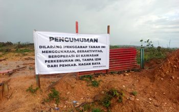Palang Penghentian HGU PT KIM Kembali Dirusak, Ketegasan Pemda Nagan Raya Seolah Tak Lagi Dihormati