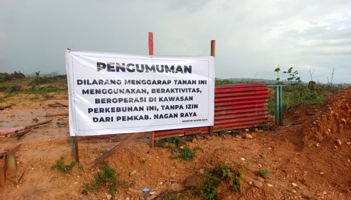 Palang Penghentian HGU PT KIM Kembali Dirusak, Ketegasan Pemda Nagan Raya Seolah Tak Lagi Dihormati