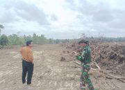 Cetak sawah ! Apakah Boleh Pemdes Kota Baru Menggarap Wilayah Desa Tanding Marga Kecamatan Penukal Utara