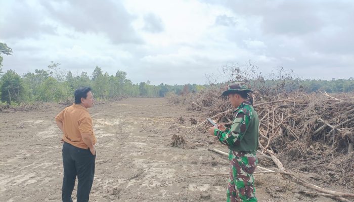 Cetak sawah ! Apakah Boleh Pemdes Kota Baru Menggarap Wilayah Desa Tanding Marga Kecamatan Penukal Utara