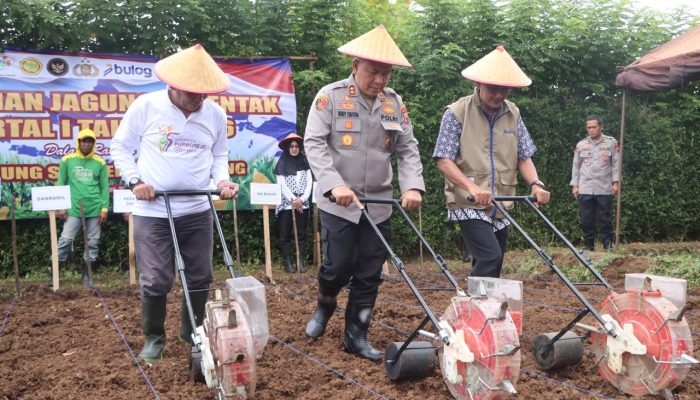 Polres Purworejo Tanam Jagung, Dukung Ketahanan Pangan Nasional