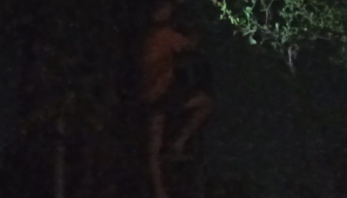 Gangguan WiFi di Malam Hari, Teknisi PT Bach Multi Global Diduga Langgar Prosedur K3