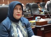 Soroti Jembatan Anduriang Tak Kunjung Diperbaiki, Endarmy Anggota DPRD Sumbar Buka Suara